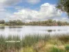 7 Roebuck Street, Innaloo, WA 6018-Image