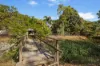 7 Ronald Crescent, Benaraby, Qld 4680-Image