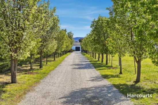 7 Rotary Place, Acton Park, Tas 7170
