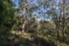 7 Rundle Road, Stony Rise, Tas 7310-Image
