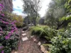 7 Rupert Street, Port Augusta, SA 5700-Image
