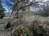 7 Rupert Street, Port Augusta, SA 5700-Image