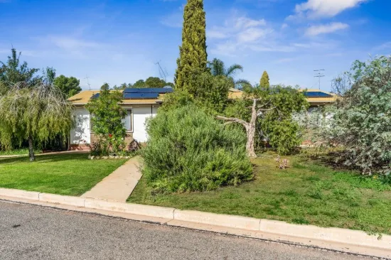 7 Ruston Street, Renmark, SA 5341