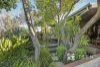 7 Ruth Street, Golden Square, Vic 3555-Image