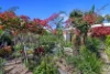 7 Saint Andrews Drive, Pialba, Qld 4655-Image