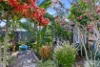 7 Saint Andrews Drive, Pialba, Qld 4655-Image