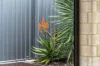 7 Saltwater Street, Baldivis, WA 6171-Image