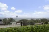 7 Sandano Avenue, Sellicks Beach, SA 5174-Image