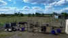 7 Short Street, Warwick, Qld 4370-Image