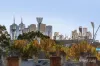 7 Stewart Place, Richmond, Vic 3121-Image