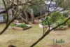 7 Summoner Street, Blairgowrie, Vic 3942-Image