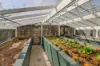 7 Sundew Street, Mudjimba, Qld 4564-Image