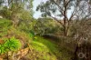 7 Sylvia Court, Coromandel Valley, SA 5051-Image