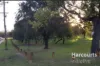 7 Templeton Crescent, Girrawheen, WA 6064-Image