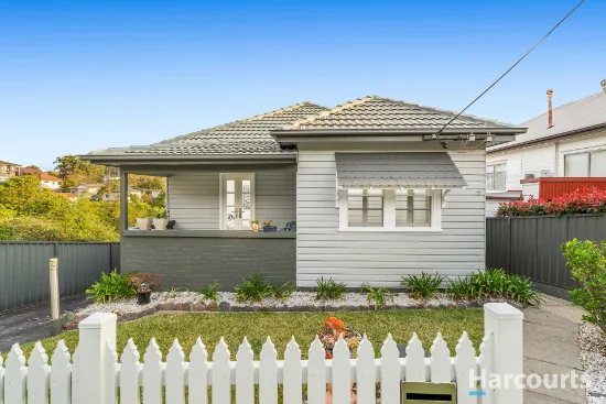 7 Third Avenue, North Lambton, NSW 2299