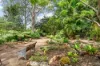 7 Three Mile Road East, Tinana, Qld 4650-Image