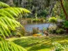 7 Tink Taylor Avenue, Sisters Beach, Tas 7321-Image