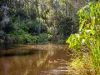 7 Tink Taylor Avenue, Sisters Beach, Tas 7321-Image