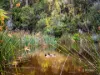 7 Tink Taylor Avenue, Sisters Beach, Tas 7321-Image