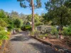 7 Tink Taylor Avenue, Sisters Beach, Tas 7321-Image