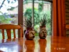 7 Tink Taylor Avenue, Sisters Beach, Tas 7321-Image