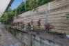 7 Velox Circuit, Upper Coomera, Qld 4209-Image