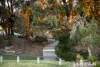7 Walnut Way, Meadow Springs, WA 6210-Image