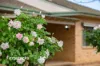 7 White Avenue, Kooringal, NSW 2650-Image