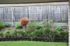 7 Willowood Place, Fernvale, Qld 4306-Image