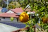 7 Windemere Avenue, Narangba, Qld 4504-Image