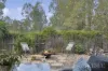 7 Woodview Court, Flagstone, Qld 4280-Image