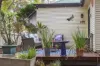 7 Wyndham Street, North Ipswich, Qld 4305-Image