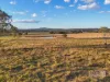 70 Bannermans Access, Sherwood, NSW 2440-Image