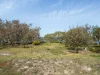 70 Bayside Drive, Beachmere, Qld 4510-Image