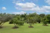 70 Black Mountain Road, Black Mountain, Qld 4563-Image