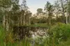 70 Bowerbird Close, Greenbank, Qld 4124-Image