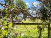 70 Clover Camp Road, Macarthur, Vic 3286-Image