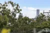 70 Eva Street, Coorparoo, Qld 4151-Image