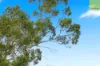 70 Hastings Road, Greendale, Vic 3341-Image