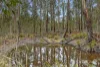 70 Manna Gum Road, Sailors Falls, Vic 3461-Image