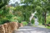 70 Middle Road, Exeter, NSW 2579-Image