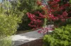 70 Railway Place, Macedon, Vic 3440-Image