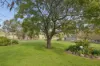 70 Roberts Road, Young, NSW 2594-Image