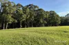 70 Sultana Road, Blakeville, Vic 3342-Image