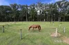 70 Sultana Road, Blakeville, Vic 3342-Image