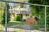 70 Sultana Road, Blakeville, Vic 3342-Image