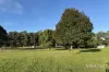 70 Sultana Road, Blakeville, Vic 3342-Image