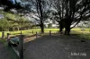 70 Sultana Road, Blakeville, Vic 3342-Image
