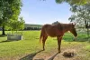 70 Sultana Road, Blakeville, Vic 3342-Image