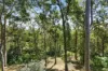 70 Wallaby Drive, Mudgeeraba, Qld 4213-Image
